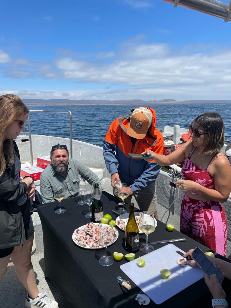 Una degustación de mariscos y vinos a bordo de una embarcación